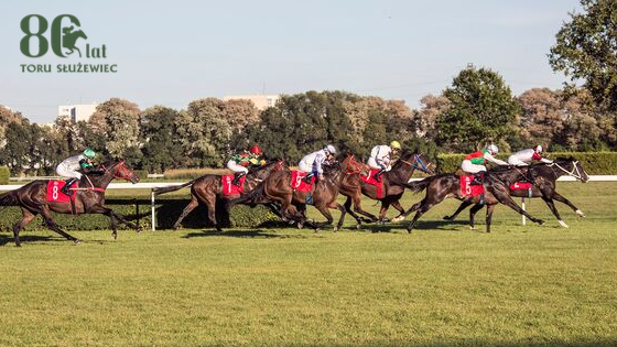 Wielka Warszawska Służewiec